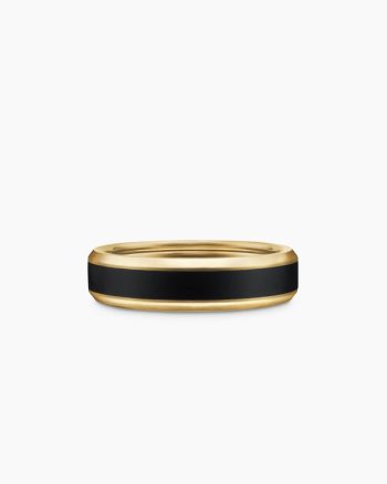 Beveled Band Ring|18K Yellow Gold with Black Titanium, 6mm