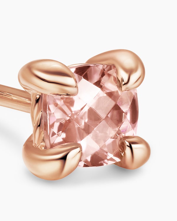 244F59A0-F116-5201-5F84-034FF324609E