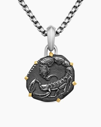 Scorpio Amulet|Sterling Silver with 18K Yellow Gold, 23mm