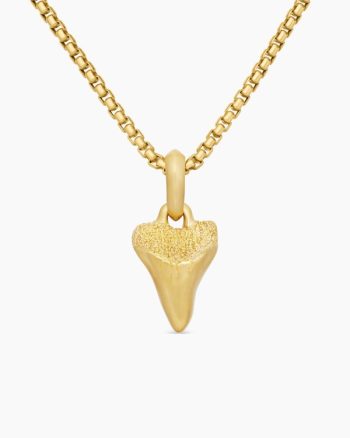 Shark Tooth Amulet|18K Yellow Gold, 17mm