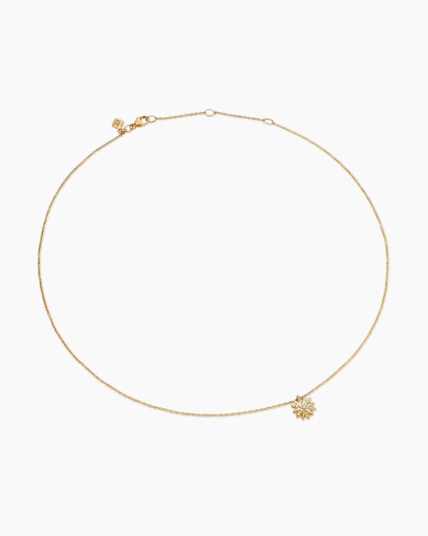 4169D8CF-87A4-0716-99BA-3D9CA544D94A