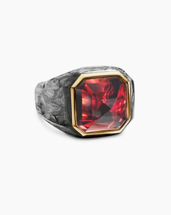 Hexagonal Signet Ring|18K Yellow Gold with Forged Carbon and Garnet, 17.7mm