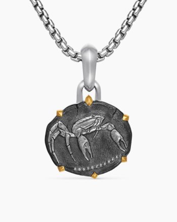 Cancer Amulet|Sterling Silver with 18K Yellow Gold, 23mm