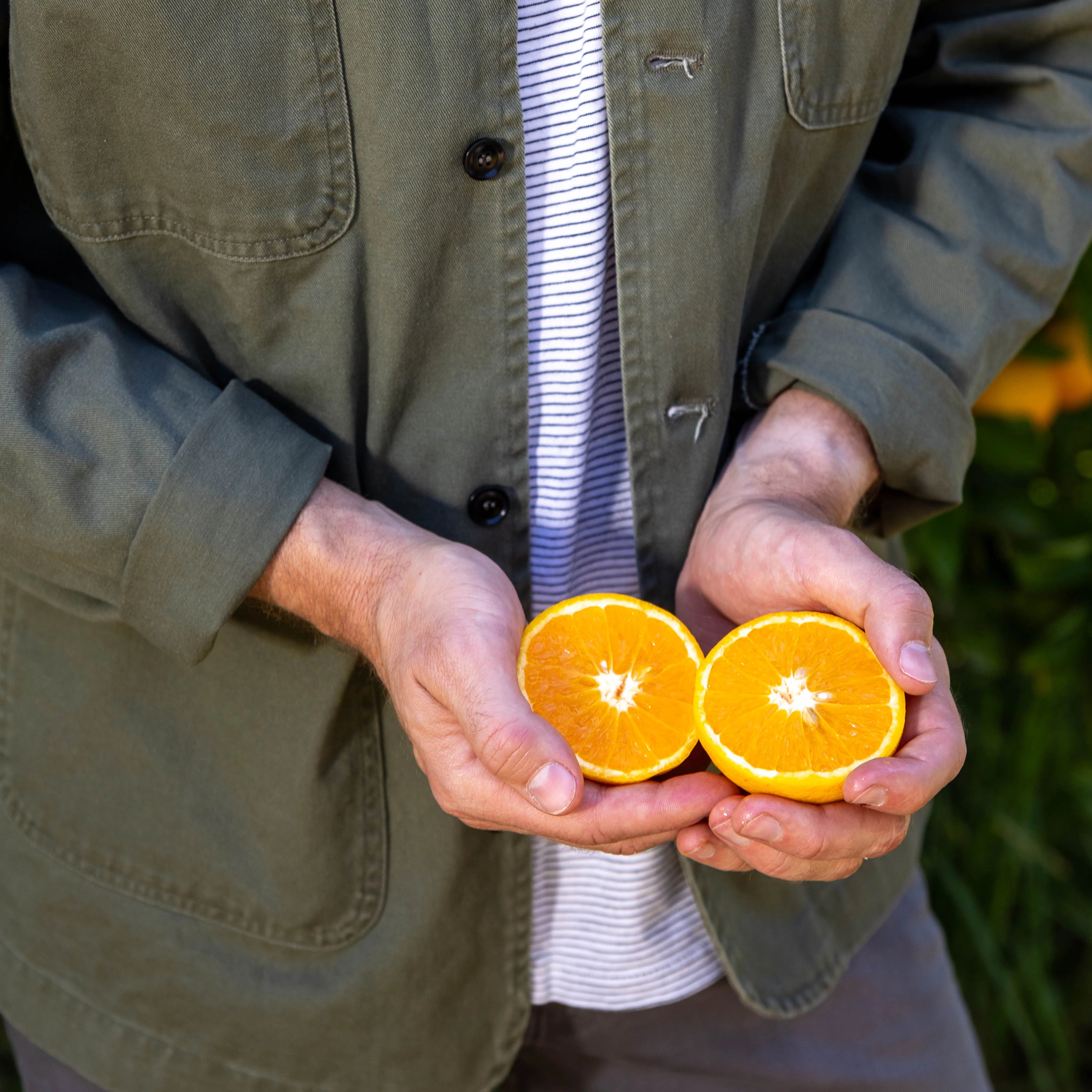 676B1957-2CC2-A399-E48C-116288540075_afe17210-733d-4b11-ad6f-03d71f680421