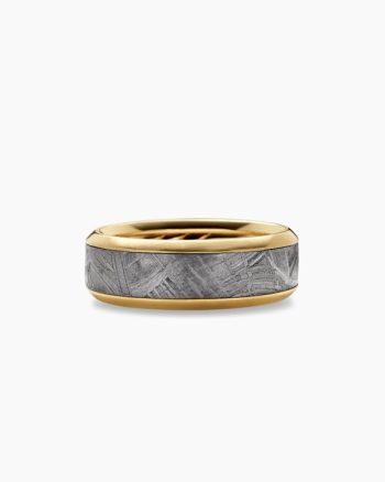 Beveled Band Ring|18K Yellow Gold with Meteorite, 8.5mm