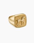 Petrvs® Horse Pinky Ring|18K Yellow Gold, 14.8mm