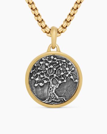 Life and Death Duality Amulet|Sterling Silver with 18K Yellow Gold, 24mm