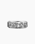 Streamline® Band Ring|Sterling Silver with Fused Meteorite, 8.5mm