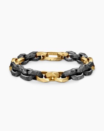 Faceted Link Bracelet|18K Yellow Gold with Meteorite, 11.6mm
