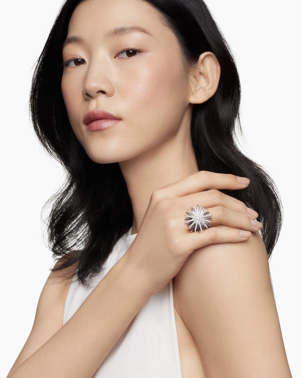 87293862-DA4B-81B6-727E-F7578F90AFA3