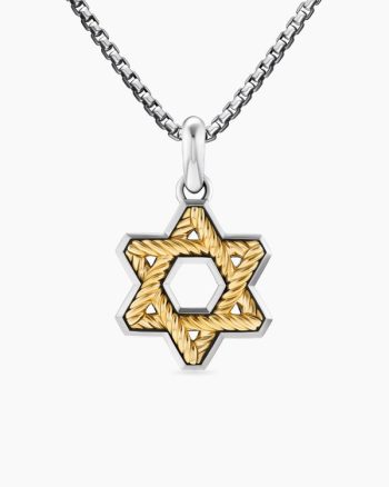 Cable Star of David Amulet|Sterling Silver with 18K Yellow Gold, 19mm