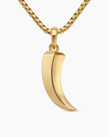 Claw Amulet|18K Yellow Gold, 30mm