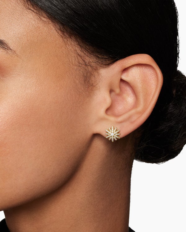 A02910AA-C891-2D20-C321-8AFA314C81AD