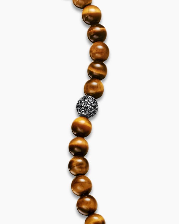 ABAB82B6-1E8D-6A0B-8D27-77FEE913F57A