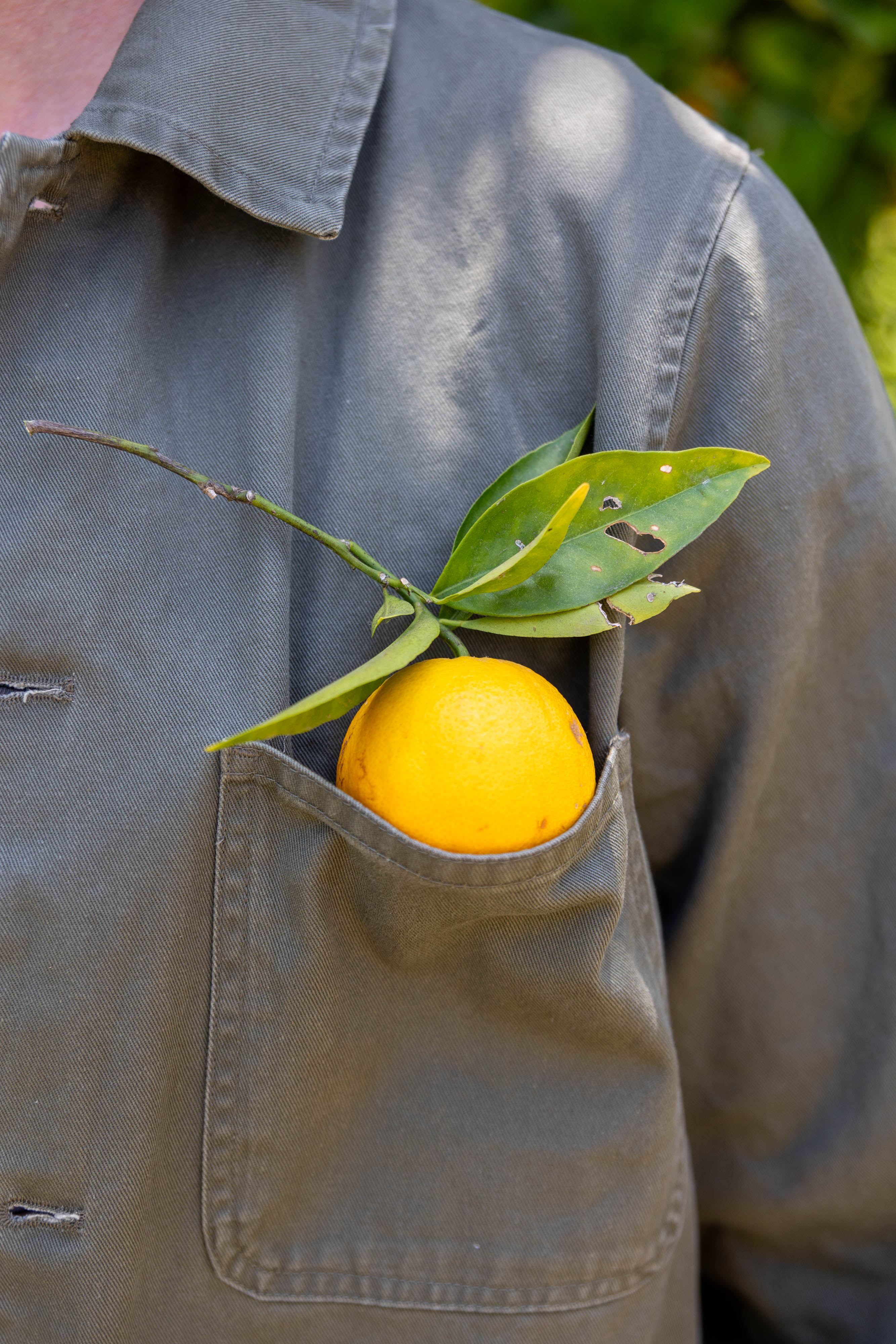 ADB0D2CA-5740-095B-0C68-C3AA9A4AF396_a3a10e7f-9c51-44b1-84a0-bee76ec54c48