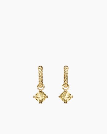 Micro Chatelaine®  Drop Earrings|18K Yellow Gold with Champagne Citrine, 5mm