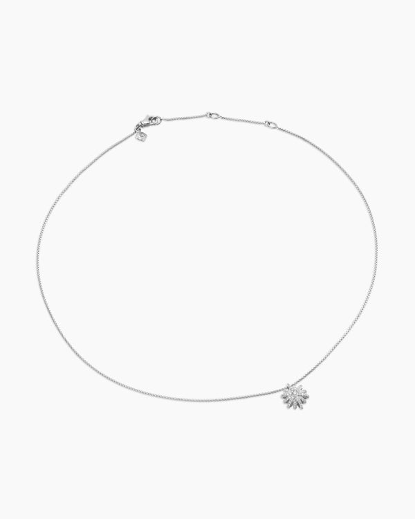 B7808C12-27E6-6724-30F2-D4B9833EF194