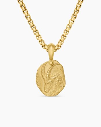 Capricorn Amulet|18K Yellow Gold, 17mm