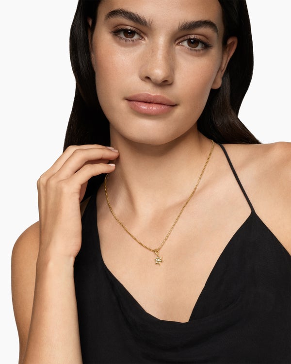 CC7E6D27-B56D-57CD-4D68-969D3B434B4D