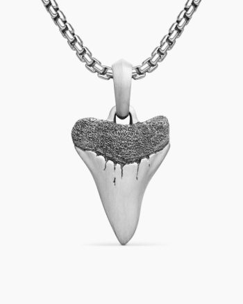 Shark Tooth Amulet|Sterling Silver, 25.8mm