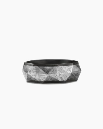 Torqued Faceted Band Ring|Black Titanium with Meteorite, 8.5mm