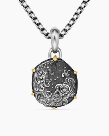 Aquarius Amulet|Sterling Silver with 18K Yellow Gold, 23mm