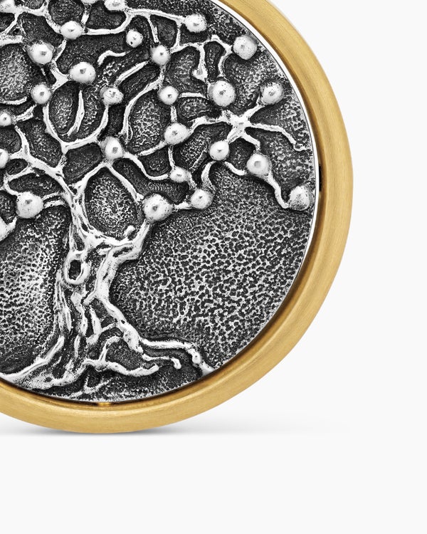 EA283F31-EBCF-3B1E-CFDC-5E21D3A1820B