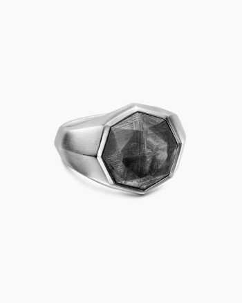Faceted Signet Ring|Sterling Silver with Meteorite, 17.3mm