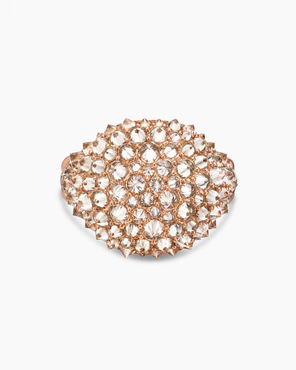 FCF4532F-3EEB-CDDE-9DAB-7C973DAE53BC