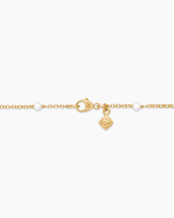 FCF5C2A6-6B0A-6A17-C886-E69D246C38E3