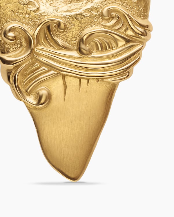 FD1BF9ED-8713-3FB2-BFC1-CFA8BE8ECAD1